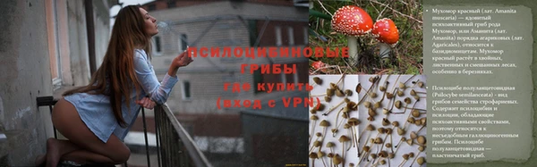 соль курить ск Нязепетровск