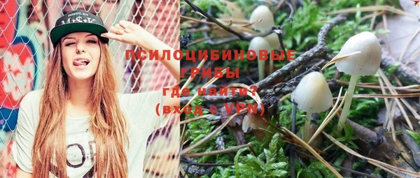 spice Новозыбков