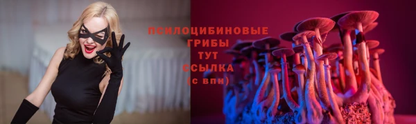 молекула духа Новодвинск
