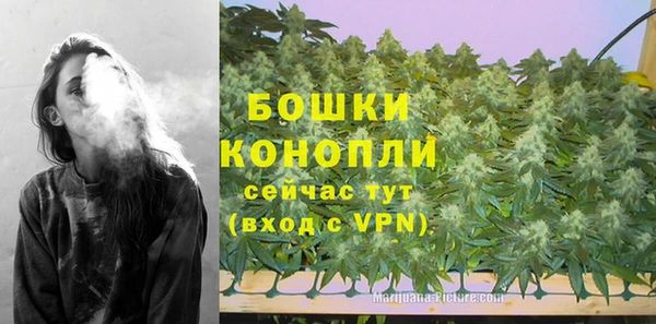 spice Новозыбков