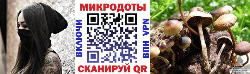 mega Окуловка Галлюциногенные грибы Magic Shrooms